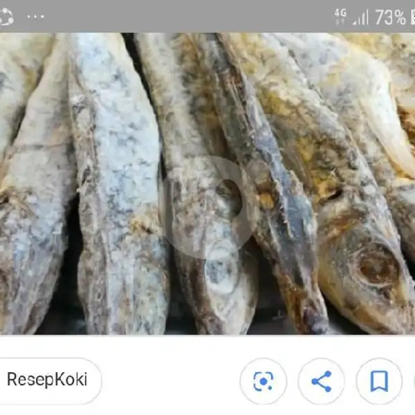 Ikan Asin + Nasi Terong | Warung Azril (Bebek Sinjay), Klojen