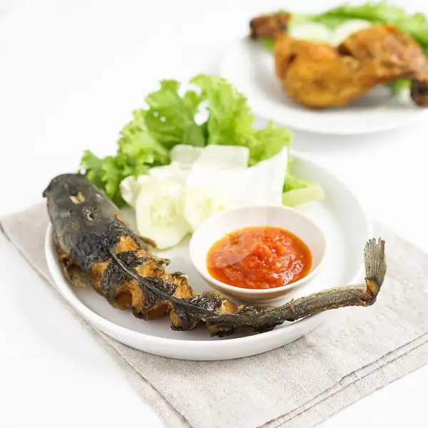 Lele Goreng | Ayam Kaget, Senapelan