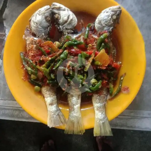 Nasi Pakai Ikan Merah Toco | RM Ayang, Imam Bonjol