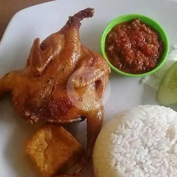 Paket Puyuh Goreng | Bebek&ayam Sambel Bawang