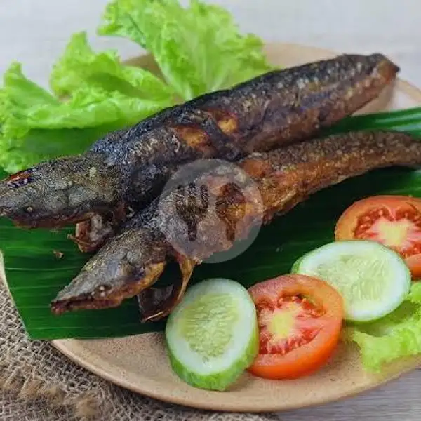 Ikan Lele Bakar | Warung Serba-Serbi Ayam, Lembang