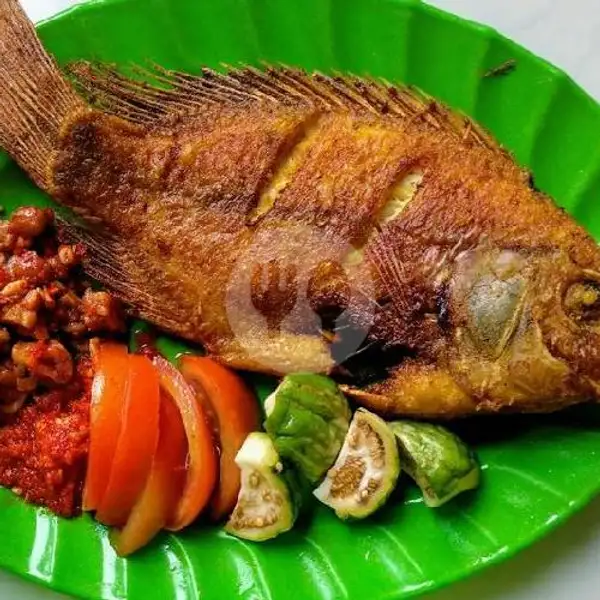 Ikan Nila Goreng/Bakar+Nasi | Sudi Mampir, Cibogo Bawah