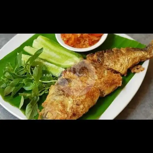 Nasi Goreng Bandeng Presto | Kerupuk Ikan Tengiri Bu Zulaiha, Manukan Peni