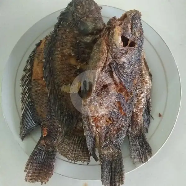 Ikan Mujaer | RM. Padang 