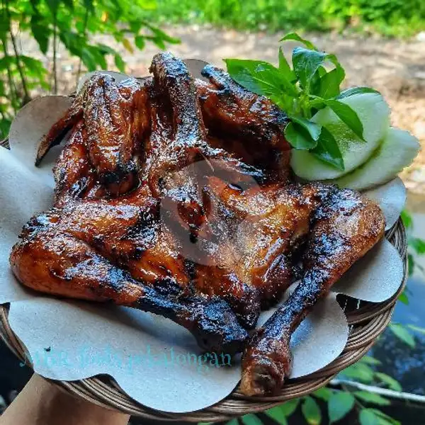1 Ekor Ayam Bakar | RM. Mbok Berek, Pacar