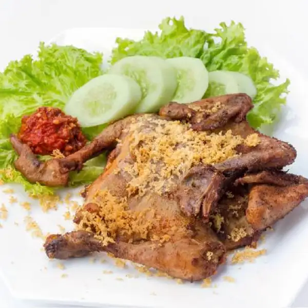 Ayam Goreng Kalasan 1 Ekor | Warung Gudeg Bu Yul, Dharmahusada Utara