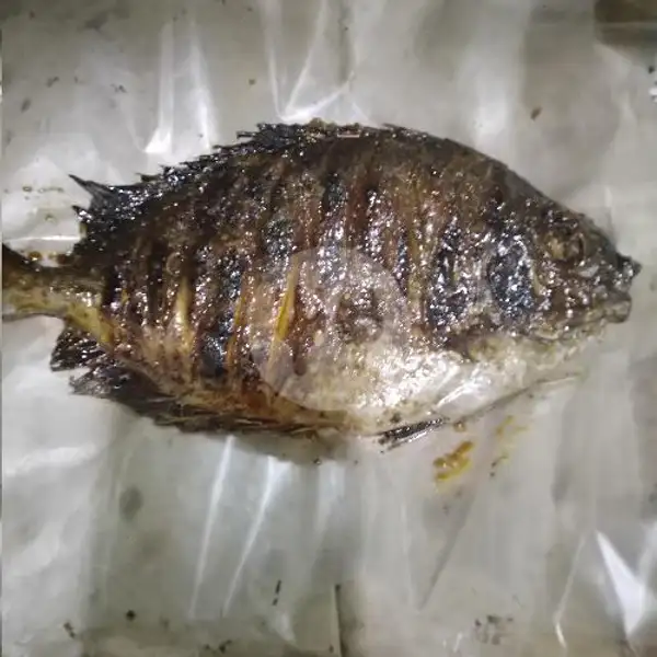 Ikan Baronang 5 Ons Bakar Madu Rica | Ikan Bakar Madu Rica Redjo Agung, Tegalsari
