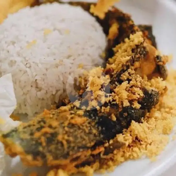 LELE Bumbu Rempah Tepung Crispy+Nasi Free 1 Bakwan Krenyes | Ayam Penyet Lia Al-Baroqah, Villa Muka Kuning