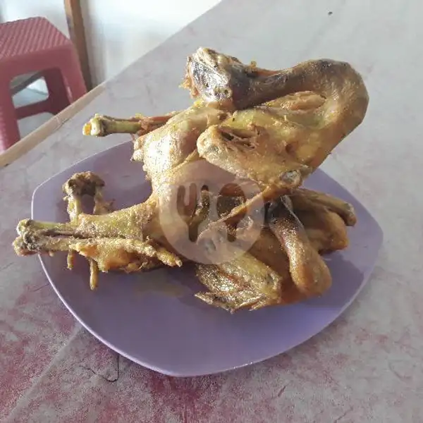 Ayam Boiler  Panggang 1 Ekor | Ayam Spesial Jantan Manshurin, Gunungpati