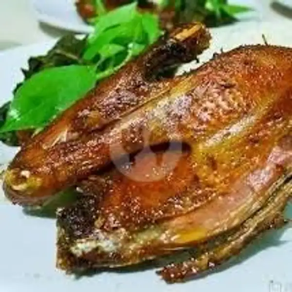 Bebek Goreng Sambal Bajak Extra | Lalapan Anugrah Jaya Kuliner 2, Denpasar