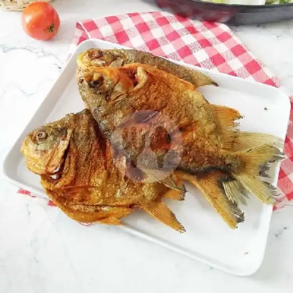 Ikan Bawal Goreng +nasi +sambal Dadak+karedok Leunca +lalapan | Ayam Bakar Ayam Goreng RR Free Sambal Dadak Dan Karedok Lenca