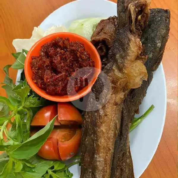 Nasi Lele Bakar / Goreng | RM Sederhana, Ikan Tenggiri