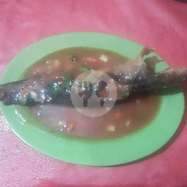 Lele Saos Padang | Seafood 48 NaufaL