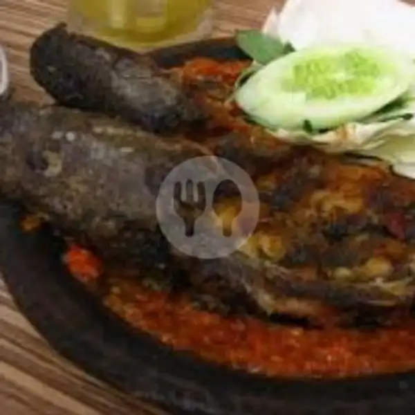 Ikan Lele Penyet (Free Nasi Putih) | Sempol & Friend's 