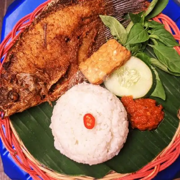 Paket 1 Nasi Gurami Goreng | Ikan Bakar Marjenggo
