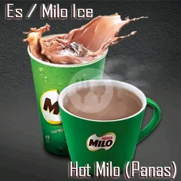 Milo Malaysia | Food Container, Butung