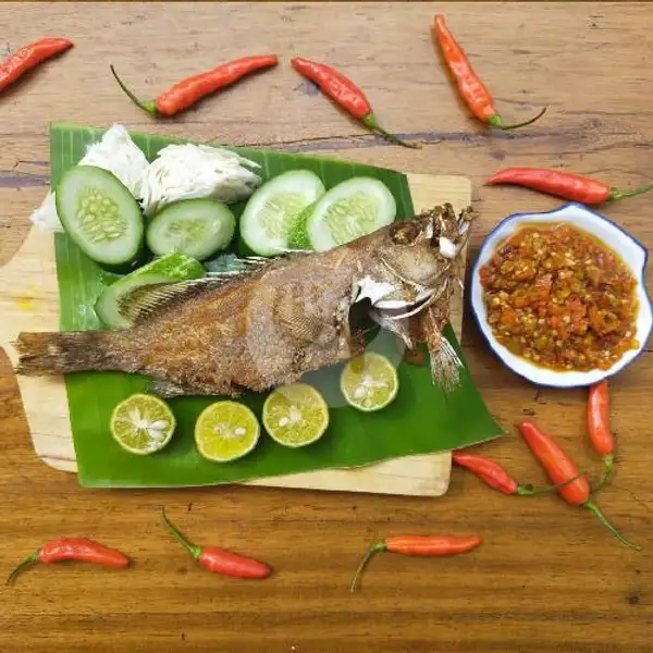 Ikan Kerapu Goreng | Cumi dan Ikan Bakar Rezekimah Timana Weh, Cigadung