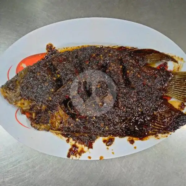 Gurami Mentega | Seafood Makmur Jaya, Darmo Permai