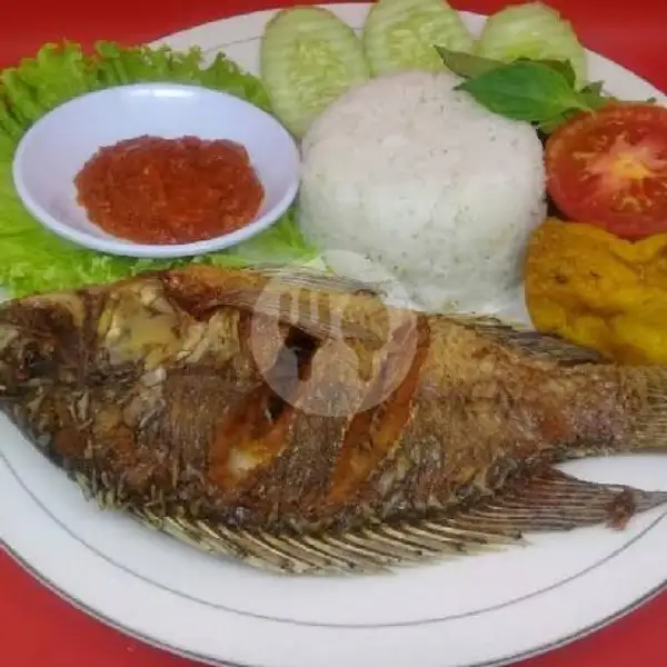 Paket Lalapan Ikan Mujair | Nasi Goreng Bali Hokki, Tukad Yeh Aya