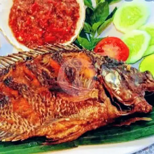 Lalapan Ikan Gurami | Bali Seneng