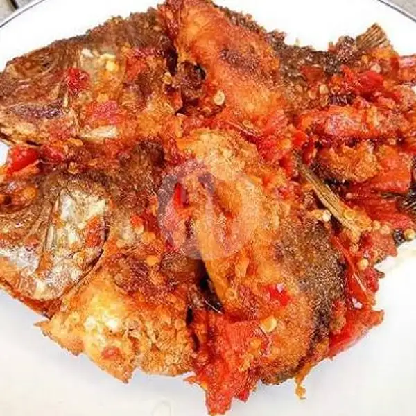 Ikan Mujair Sambal Merah / Balado + Nasi | Ayam Geprek Ceria (Pedasnya Pool), Bunga Raya