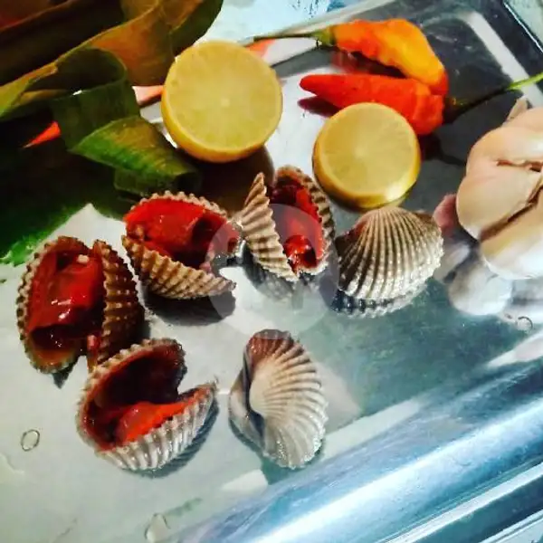 Kerang Dara 1 Kg | Seafood Mangandar, Katapang