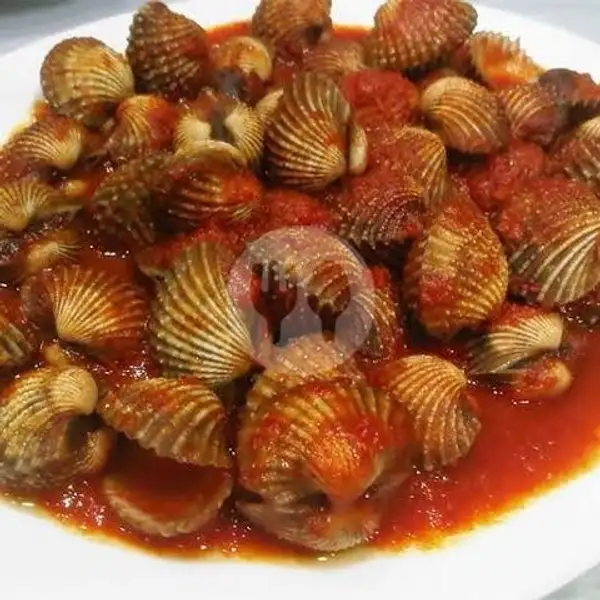 Kerang Dara Saus Tomat | Seafood Dinar 79