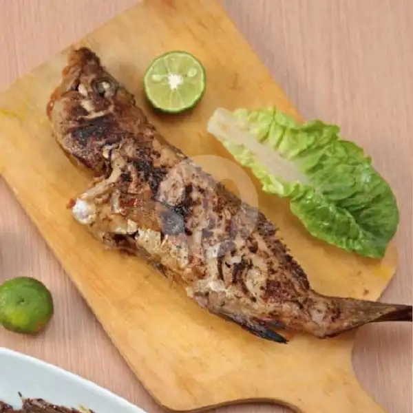 Ikan Kerapu Bakar / Goreng | Seafood Canir , Arcamanik