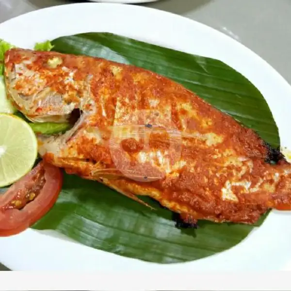 Kakap Bakar / Goreng | Ayam Bakar Dan Ikan Bakar Selera Nusantara, Dapur Nusantara