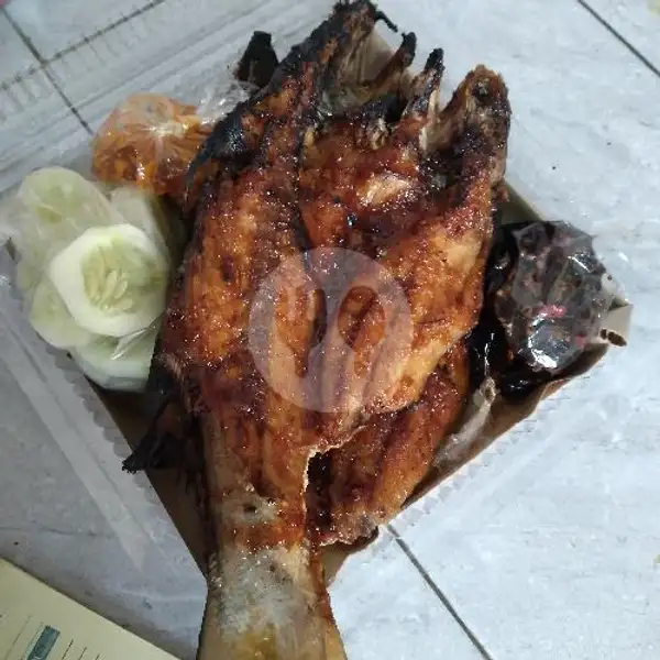 Ikan Surung Bakar | Berkah Seafood, Kretek