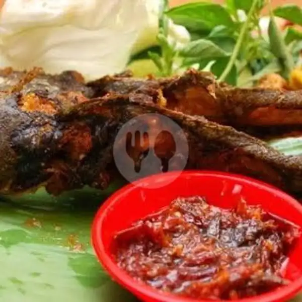 Pecel Lele Goreng | Seafood Dinar 79
