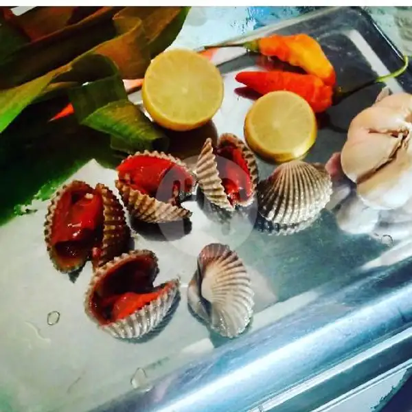 Kerang Dara 1/4 Kg | Seafood Mangandar, Katapang