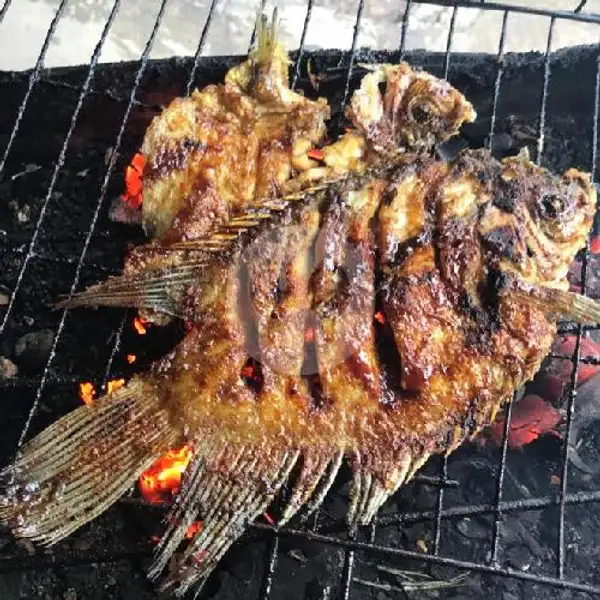 Ikan Gurame Bakar | RM.IKAN LAUT BAKAR NELAYAN