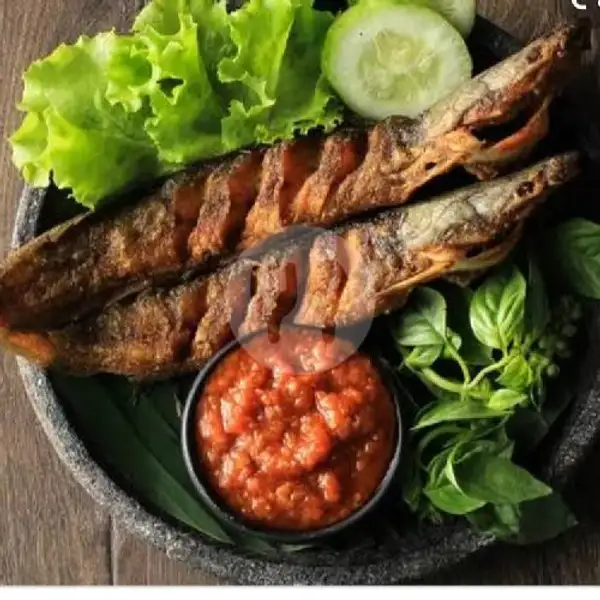 Lele Goreng | Seafood Anjani