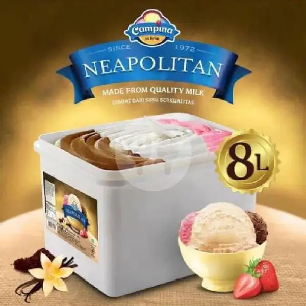Ice Cream Campina Neapooitan 8L | Nayra Ice Cream