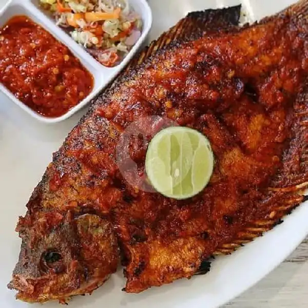 Ikan Gurame Bakar (350gr) | Lalapan dan Seafood Lestari, Padangsambian Klod