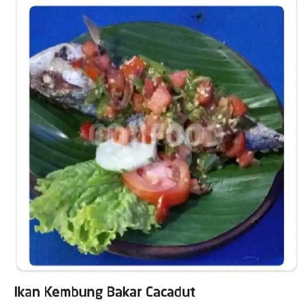 Ikan Kembung Bakar Cacadut | Ayam Penyet Jakarta, Dr Mansyur