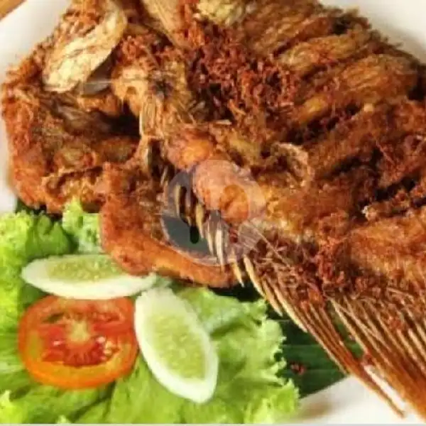 Ikan Kerapu -goreng . 350grm | Sego Babad & Tempong Pedas Menangis, Kubu Kuliner