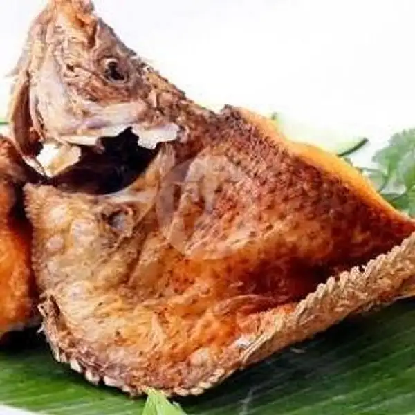 Ikan Kakap Aneka Saos | Seafood 89