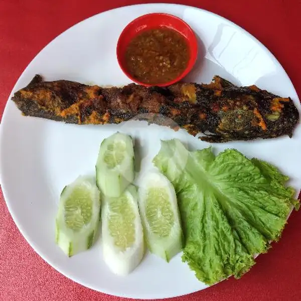 Lele Bakar + Sambel + Lalap | Anggi Ayam Kremes Penyet Bakar, Sawangan