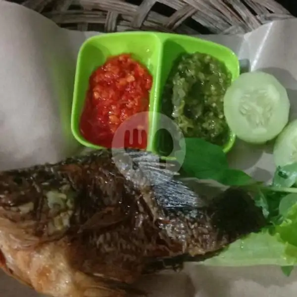 Ikan Nila + Nasi + Teh Es + Lalapan | Sambal Petir, Kubang Raya