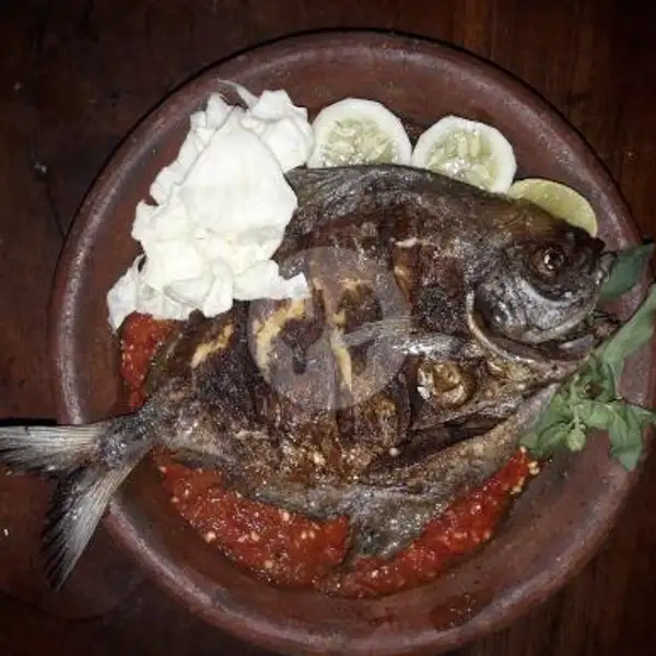 Dorang Penyet | Seafood Makmur Jaya, Darmo Permai