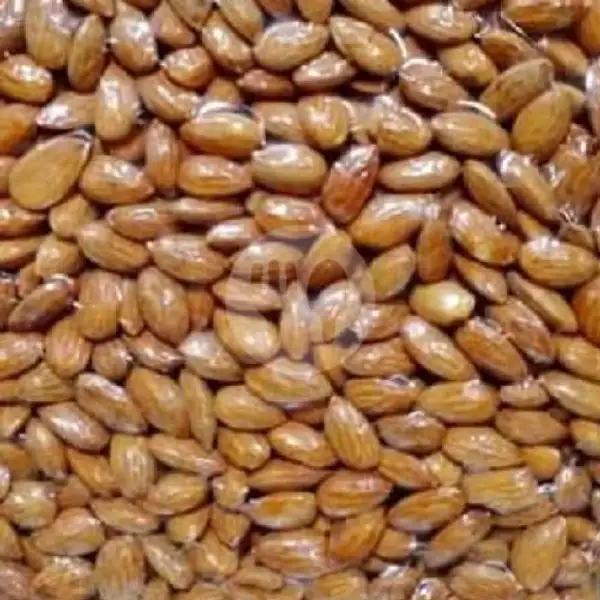 Kacang Almond Kupas Panggang 500g | Al Saud * Dubai Kurma & Madu Arab - Lokal & Coklat Arab & Garam Himalaya, Buaran