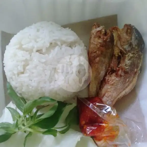 Nasi + Ikan Asin | Penyet & Jus Zlatan, Gajahmungkur