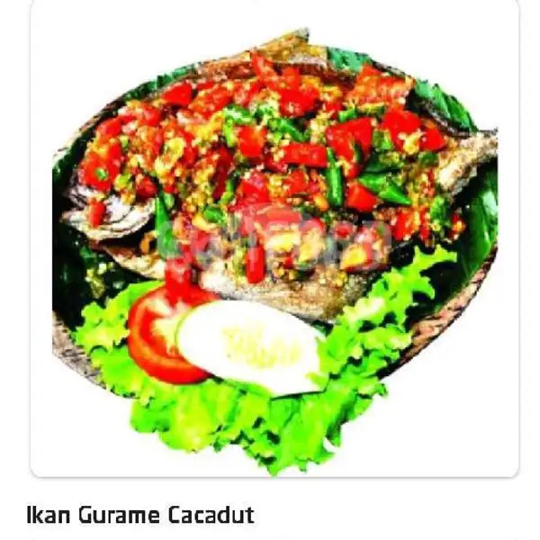 Ikan Gurame Cacadut | Ayam Penyet Jakarta, Dr Mansyur