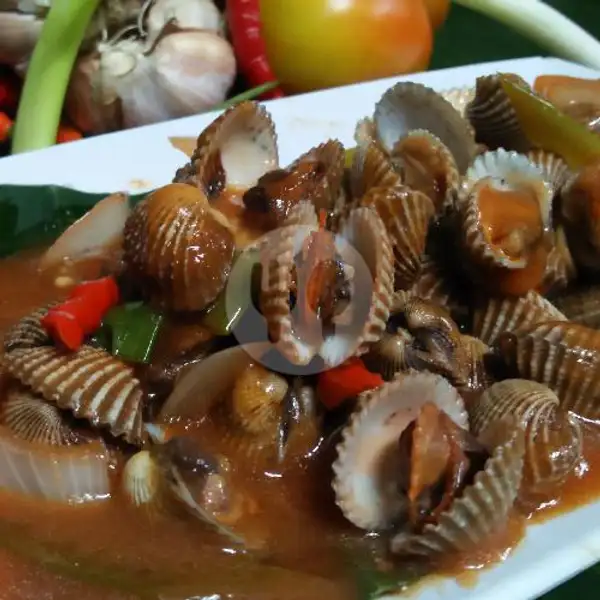 Kerang Dara Saos Padang | G Joss Seafood, Depok
