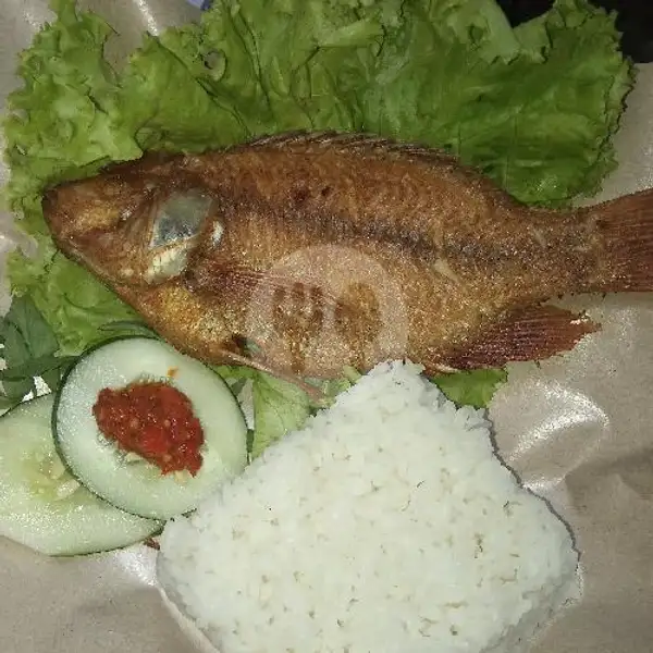 Nasi Lalapan Ikan Nila | Warung Biru, Sukun