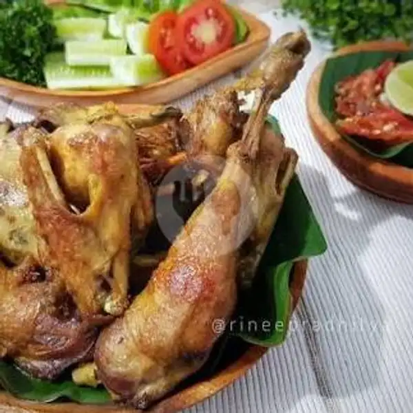 Ayam Goreng Kampung Lalapan + Nasi | Naufalita Resto & Cake, Jekan Raya