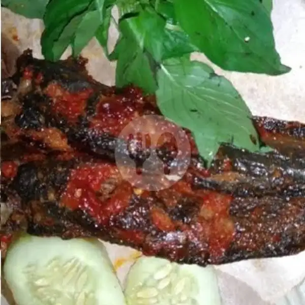 Ikan Lele Bakar isi 2 Ekor | Lalapan dan Seafood Lestari, Padangsambian Klod