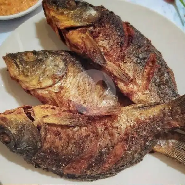 Ikan Mas Bakar + Nasi Komplit | Ayam Bakar Ayam Goreng RR Free Sambal Dadak Dan Karedok Lenca